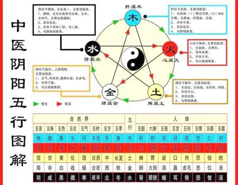 中醫五行歸類表|中醫五行學